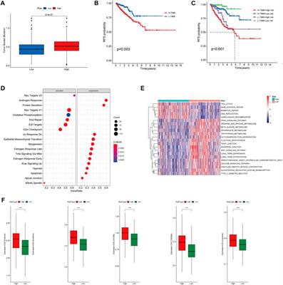 Identification of molecular subtypes and a prognostic signature based on chromatin regulators related genes in prostate cancer